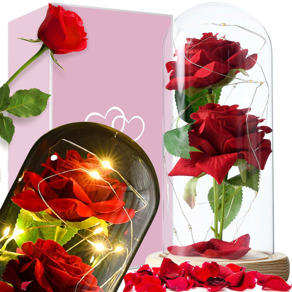 LED Ewige Rose im Glas mit 2 roten Rosen – Romantisches Geschenk für Valentinstag, Muttertag, Geburtstag und Jahrestag