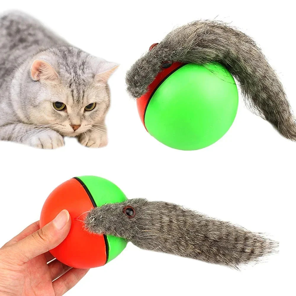Interaktives Katzenspielzeug mit Ball und Plüsch Frettchen für Katzen & Hunde