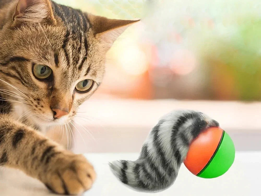 Interaktives Katzenspielzeug mit Ball und Plüsch Frettchen für Katzen & Hunde