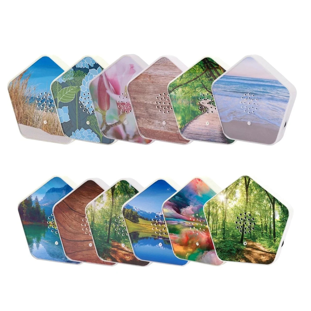 Sounds of Nature Box 4 NaturklĂ€nge Vogelgesang BachgeflĂŒster Bergwiesen Meeresra