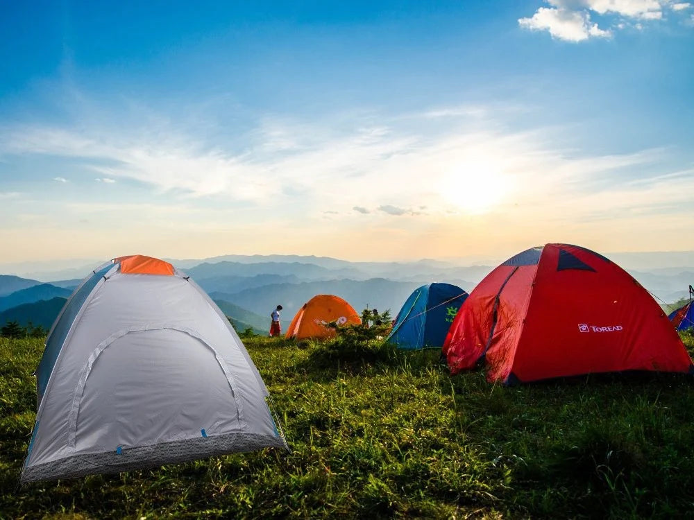 2 Personen Zelt Campingzelt mit Moskitonetz Wasserdicht Tragetasche Outdoor