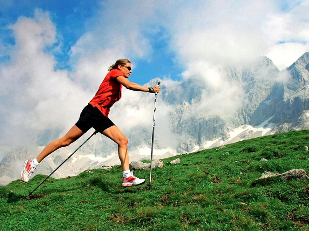 Nordic Walking Stock Einzelstück 64-135cm Alu Korkgriff Antischock Teleskop

🏞️🏞️💪