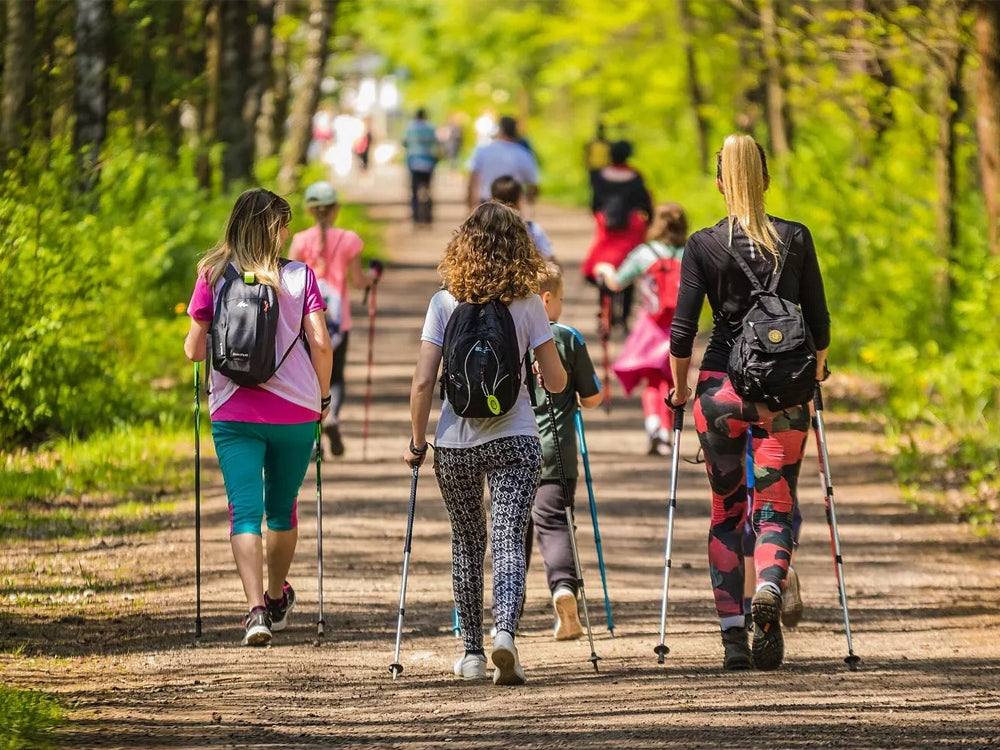 2x Nordic Walking Stöcke Teleskop 64-135 cm – Alu Antischock mit Korkgriff