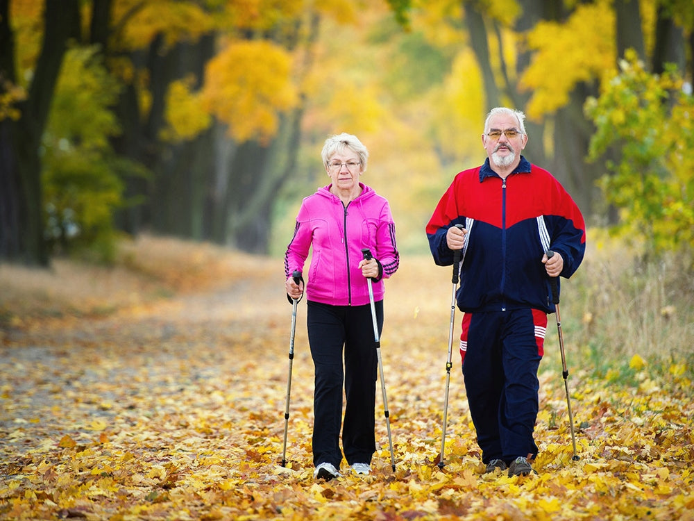 2x Nordic Walking Stöcke Teleskop 64-135 cm – Alu Antischock mit Korkgriff