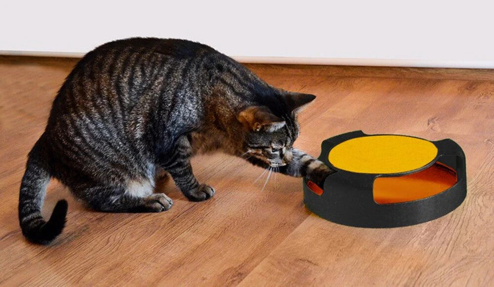 Interaktives Katzenspielzeug mit Maus & Kratzmatte – Spielring für Katzen 🐾🐾🐾