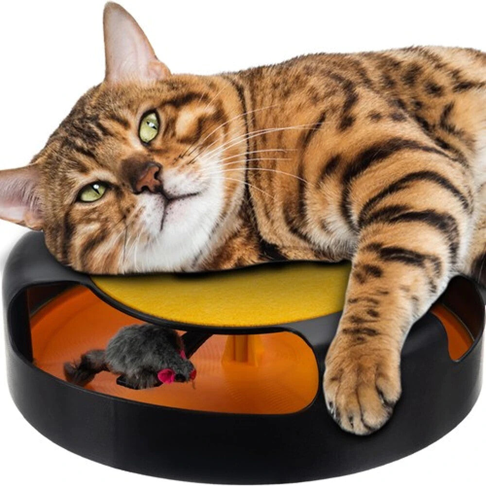 Interaktives Katzenspielzeug mit Maus & Kratzmatte – Spielring für Katzen 🐾🐾🐾