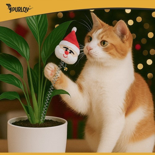 PURLOV Katzenspielzeug Set 6-tlg Weihnachten Bälle Federn Glöckchen