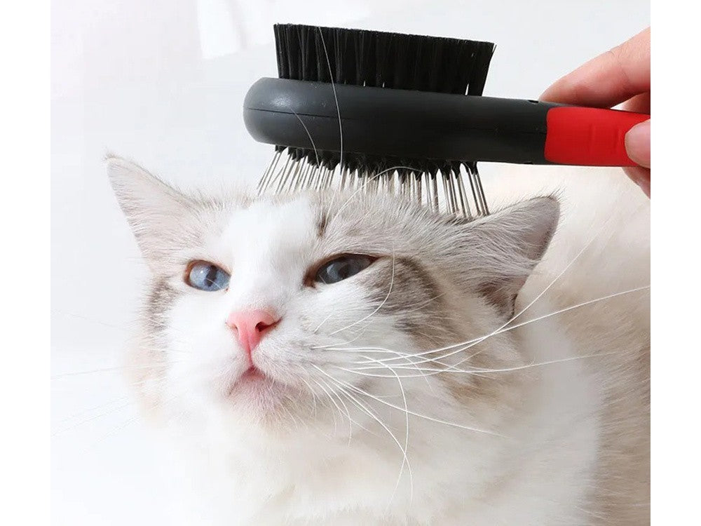 2-in-1 Haustierbürste für Hunde & Katzen – Doppelseitige Fellbürste mit Draht- & Nylonborsten – Für Langhaar & Kurzhaar   Blau Oder Rot Farbe