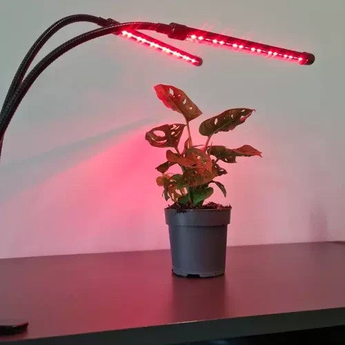 LED Pflanzenlampe 20W mit Timer und Dimmer – Pflanzenlicht für Zimmerpflanzen & Anzucht