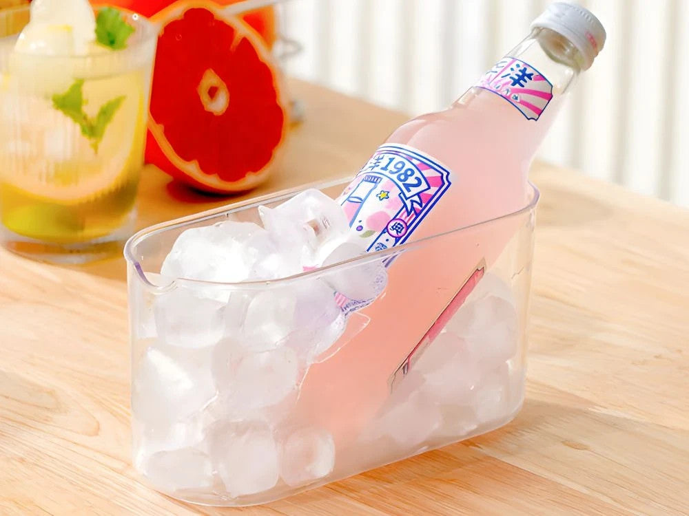 Silikon Eiswürfelform mit Behälter und Deckel – Eiswürfelbehälter für 12 Eiswürfel