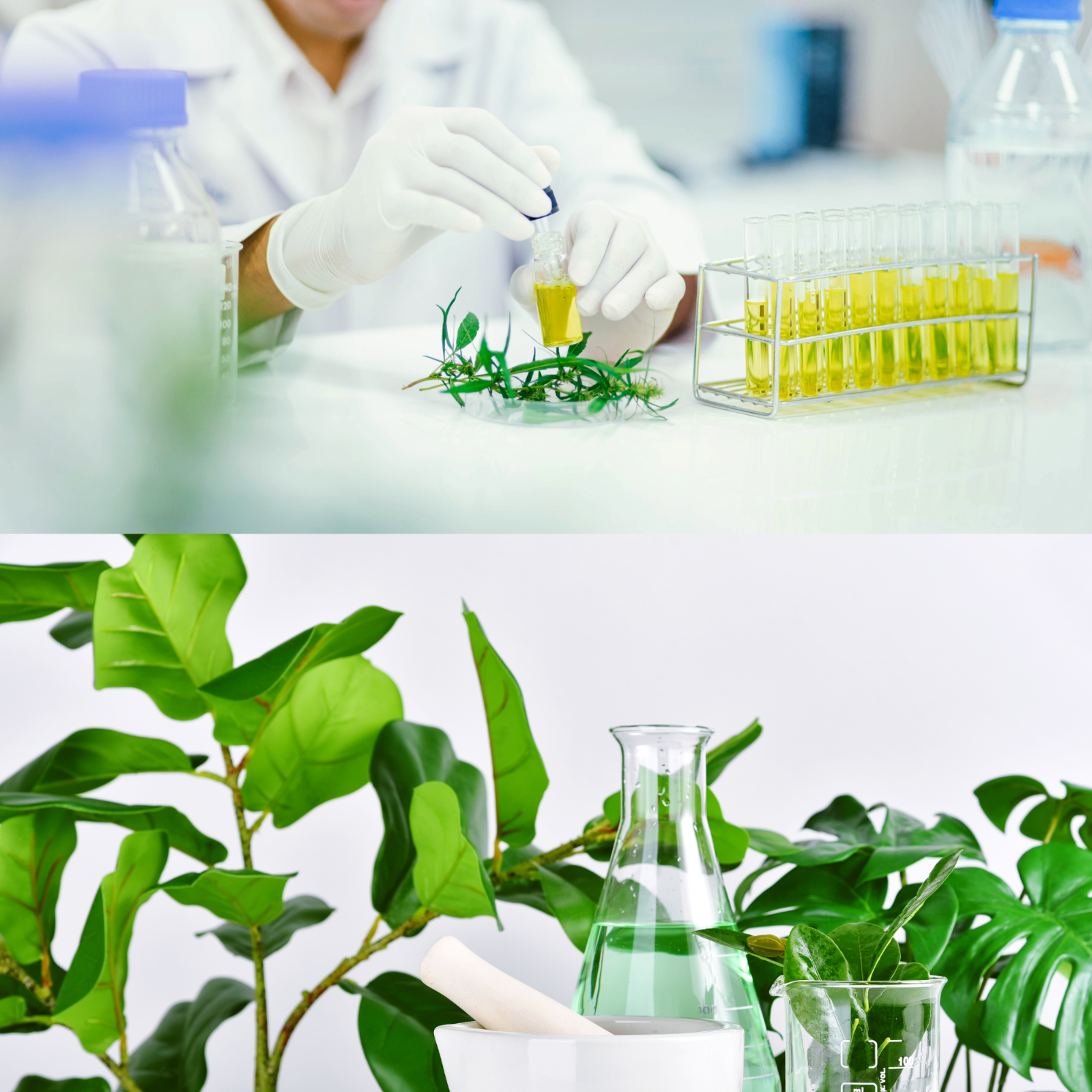 TIENS CoQ10 &amp; Qercetin with vitamins B1 B9 D3 E and K2, coenzyme Q10 &amp; hawthorn 