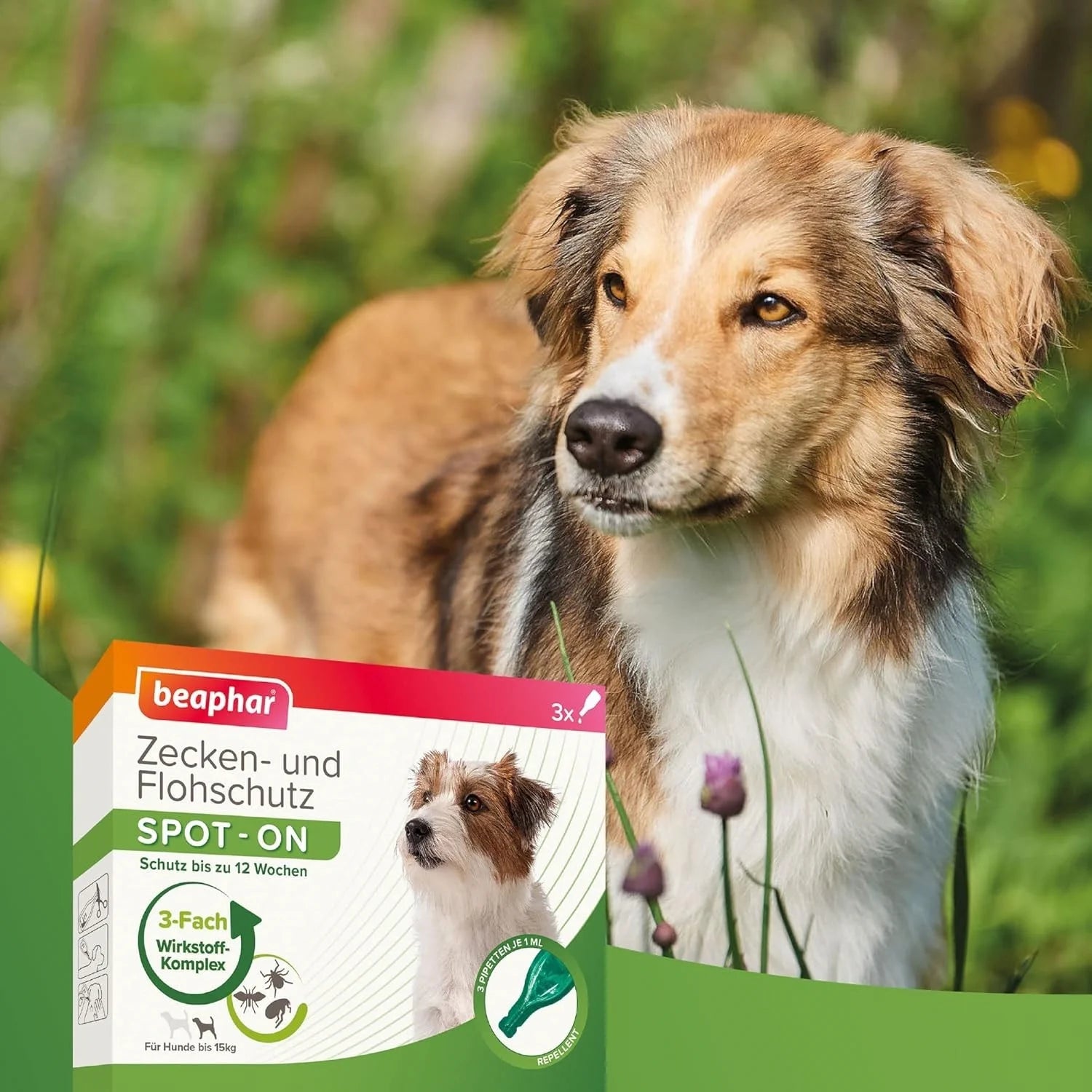 Beaphar Spot On Hunde bis 15kg Zecken Flohschutz 3x1ml Mückenschutz