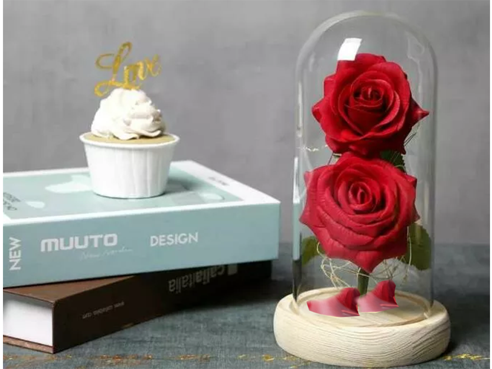 LED Ewige Rose im Glas mit 2 roten Rosen – Romantisches Geschenk für Valentinstag, Muttertag, Geburtstag und Jahrestag