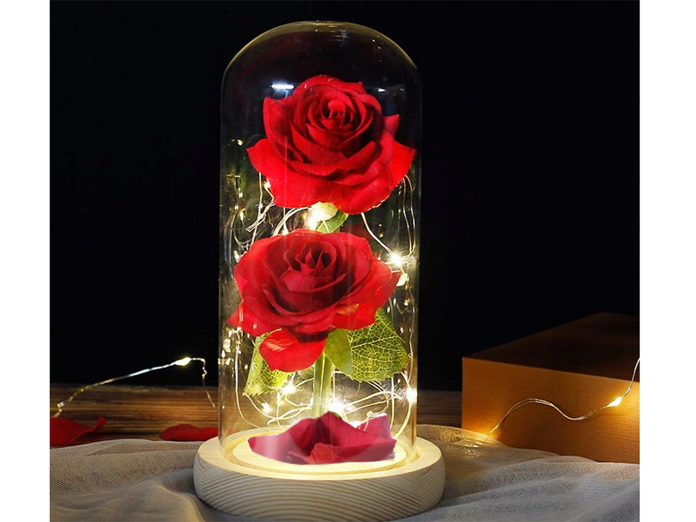 LED Ewige Rose im Glas mit 2 roten Rosen – Romantisches Geschenk für Valentinstag, Muttertag, Geburtstag und Jahrestag