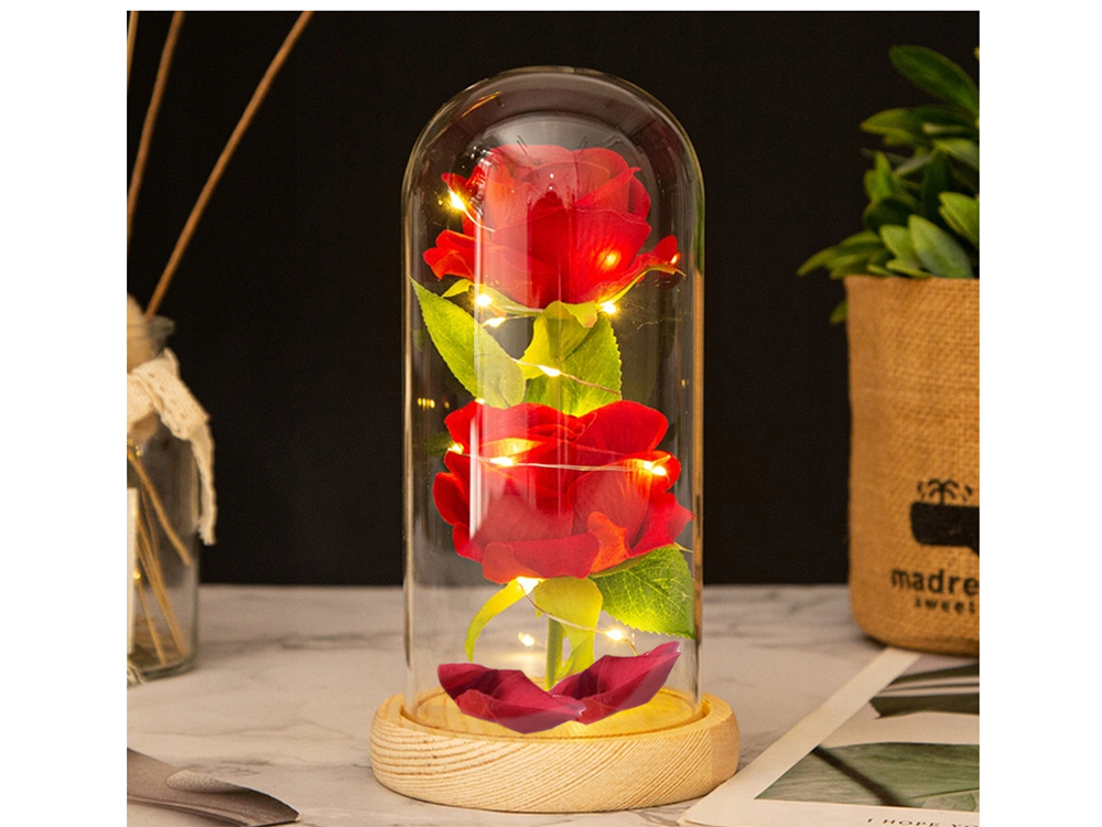 LED Ewige Rose im Glas mit 2 roten Rosen – Romantisches Geschenk für Valentinstag, Muttertag, Geburtstag und Jahrestag