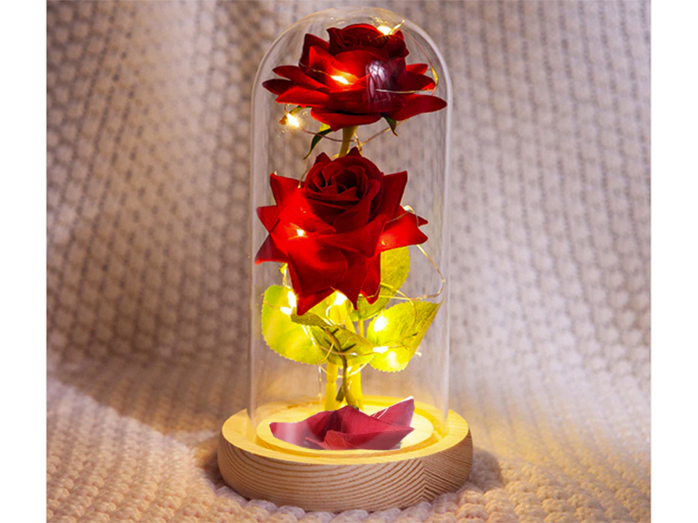 LED Ewige Rose im Glas mit 2 roten Rosen – Romantisches Geschenk für Valentinstag, Muttertag, Geburtstag und Jahrestag