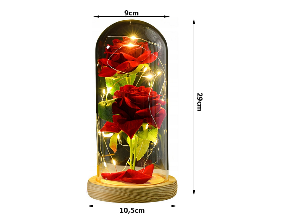 LED Ewige Rose im Glas mit 2 roten Rosen – Romantisches Geschenk für Valentinstag, Muttertag, Geburtstag und Jahrestag