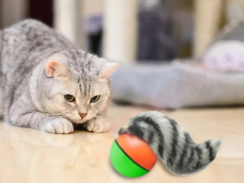 Interaktives Katzenspielzeug mit Ball und Plüsch Frettchen für Katzen & Hunde