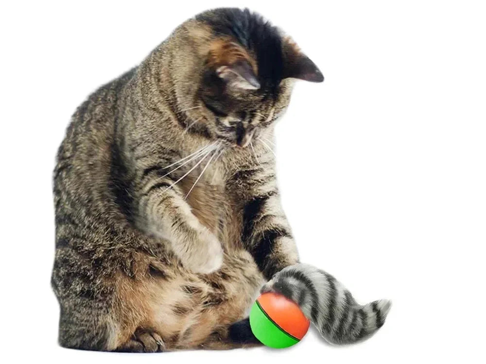 Interaktives Katzenspielzeug mit Ball und Plüsch Frettchen für Katzen & Hunde