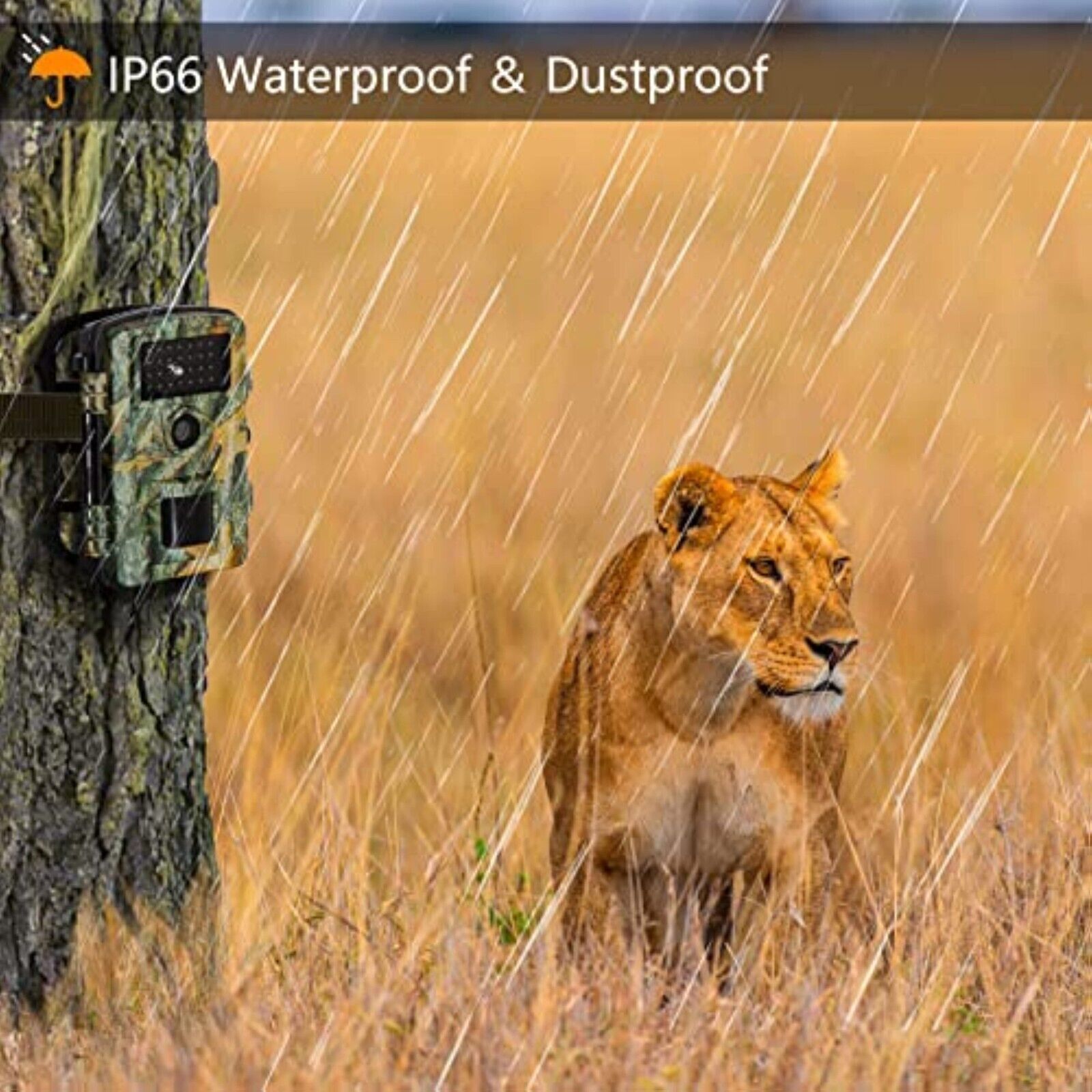 Wildkamera 20MP 1080P Nachtsicht Bewegungssensor IP66