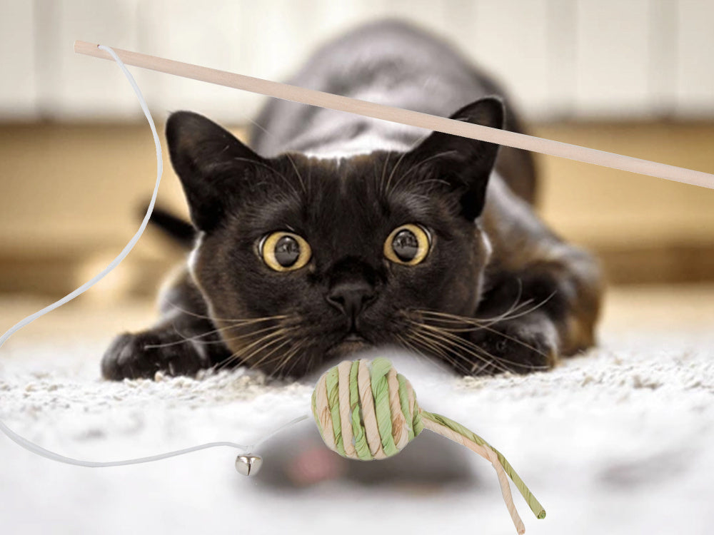 Katzenspielzeug Angelrute mit Ball & Rassel – Interaktives Spielzeug aus Holz