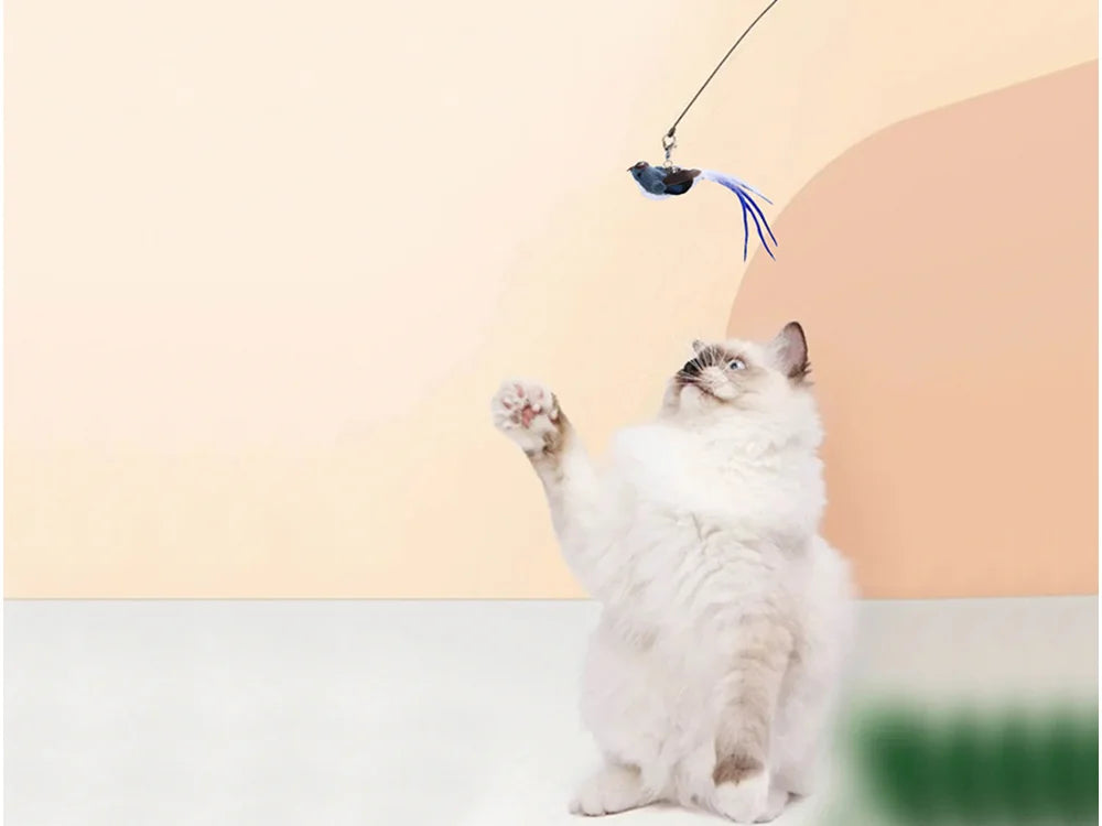 Interaktives Katzenspielzeug mit Vogel, Saugnapf und Katzenangel – Feder-Spielzeug 95 cm für aktive Katzen 🐾🐾🐾