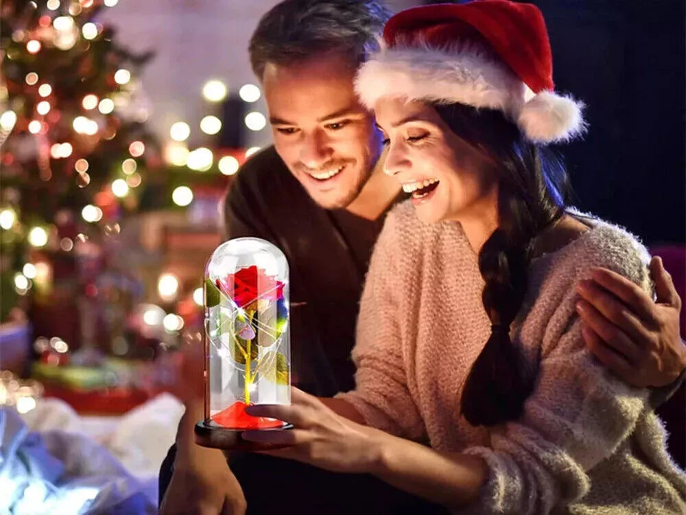 LED Ewige Rose im Glas für Frauen Geburtstag Schöne Biest Valentinstag Geschenk