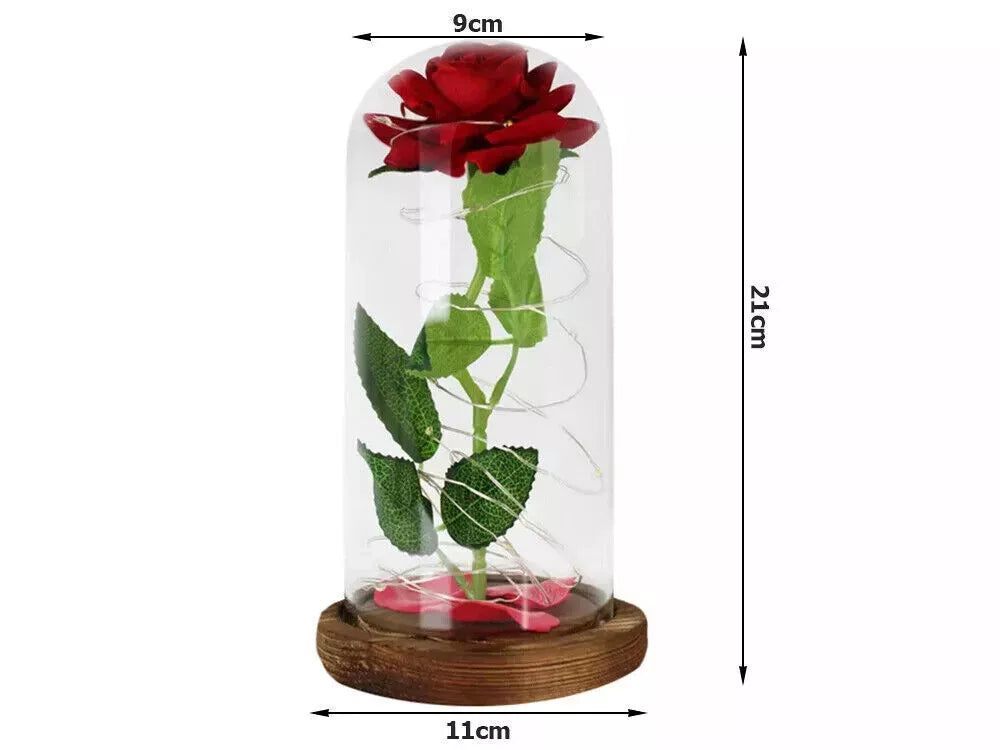 LED Ewige Rose im Glas für Frauen Geburtstag Schöne Biest Valentinstag Geschenk