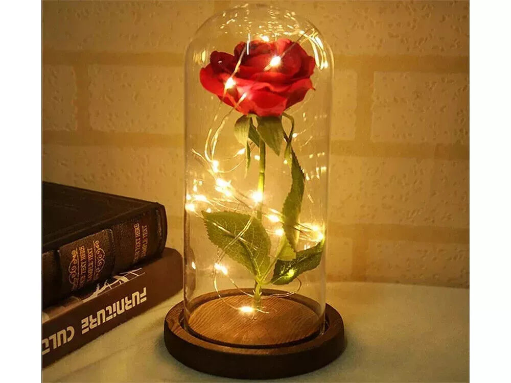 LED Ewige Rose im Glas für Frauen Geburtstag Schöne Biest Valentinstag Geschenk