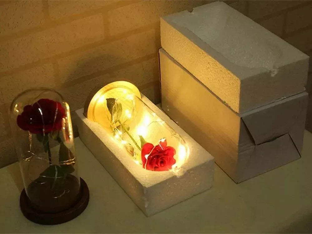 LED Ewige Rose im Glas für Frauen Geburtstag Schöne Biest Valentinstag Geschenk