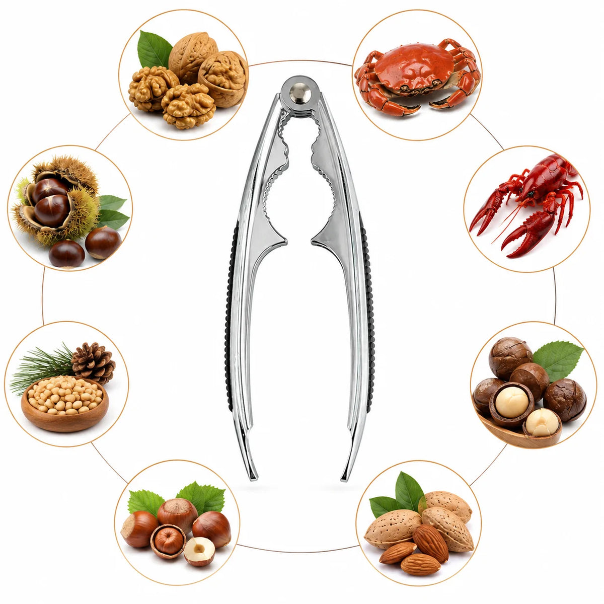 Edelstahl Nussknacker & Krustentierzange 15cm – Walnuss Haselnuss Hummer Zange