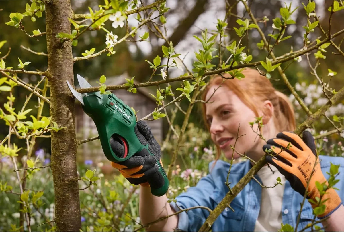 PARKSIDE Akku Gartenschere 4V PAGS 4 A1 Astschere USB-C Kabel Schutzhülle