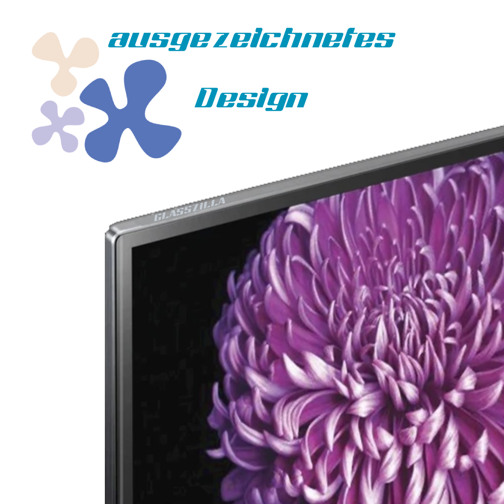 55 Zoll Fernseher Schutz / TV Bildschirmschutz / Displayschutz / TVs  GlassZilla