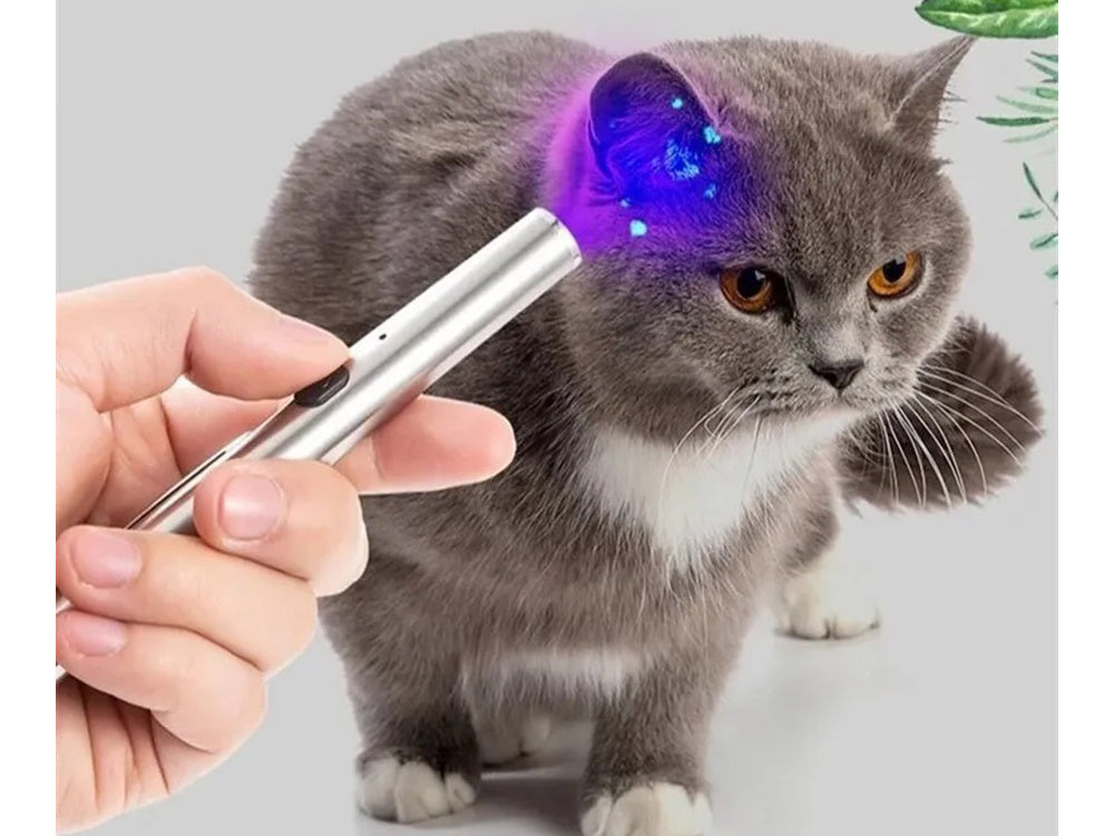 Wiederaufladbare LED-UV-Taschenlampe in Stiftform mit Magnet – Kompakt & Praktisch