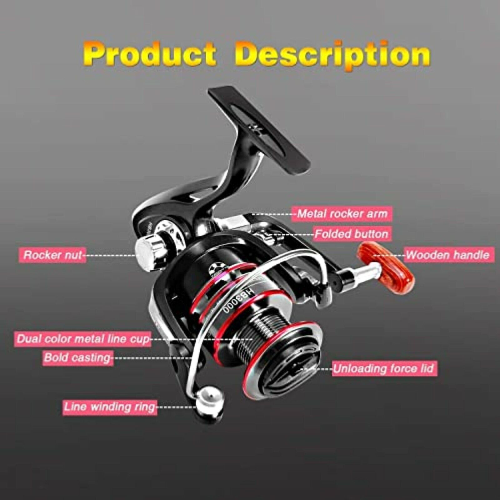 FISHOAKY fishing rod with reel, fishing rod set complete, fishing starter set, fishing rods